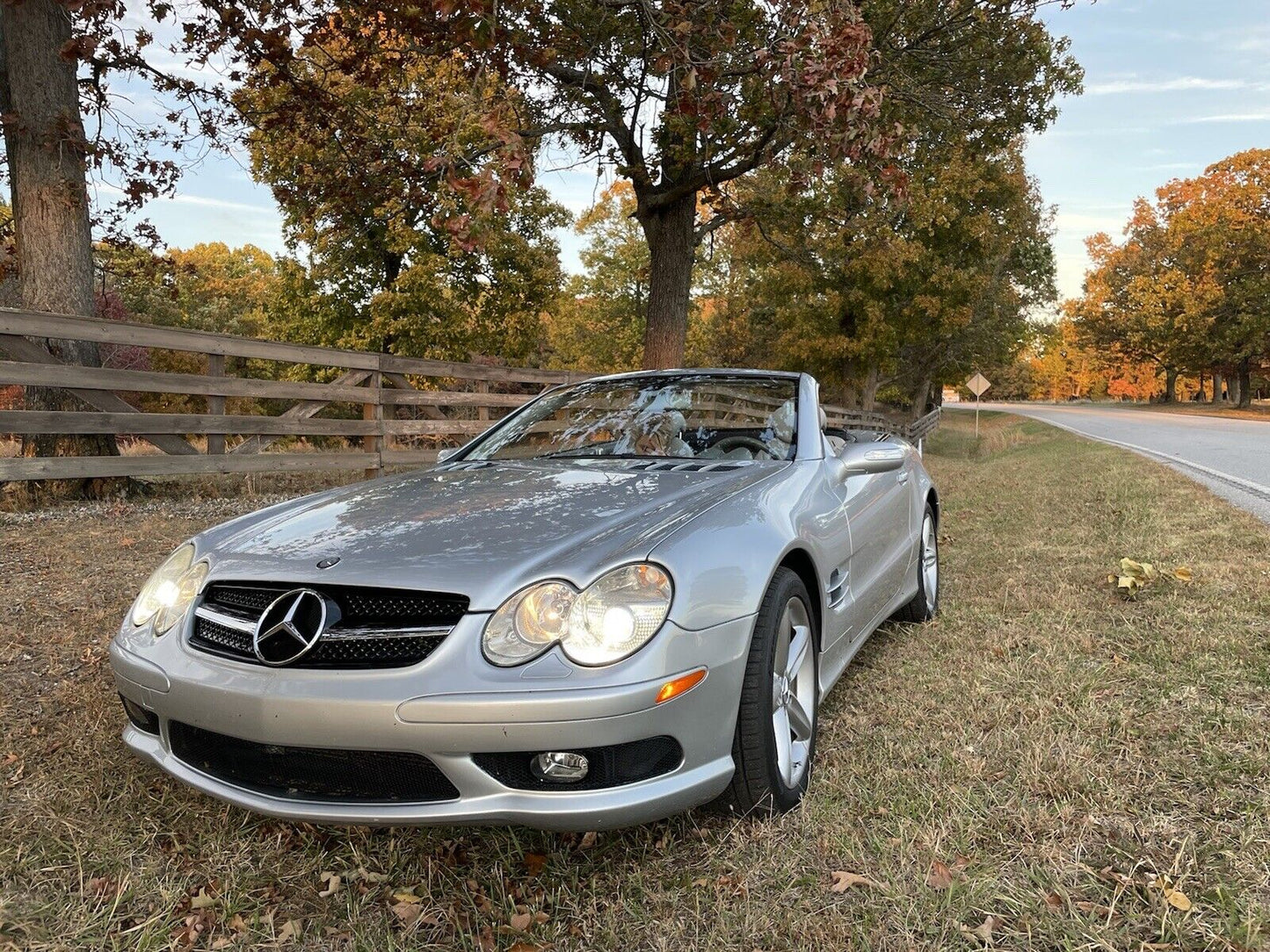 Mercedes Benz R230 2003~2006 SL-Class 1 Fin Grille