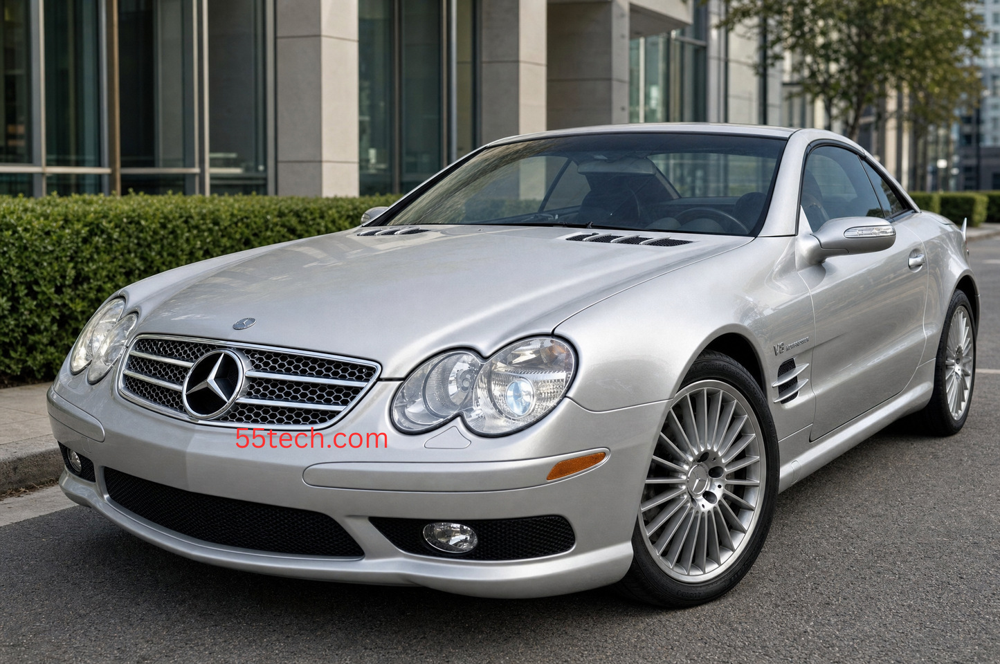 Mercedes Benz R230 2003~2006 SL-Class Grill with Frame
